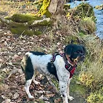 Apartment Tala Ax-les-Thermes