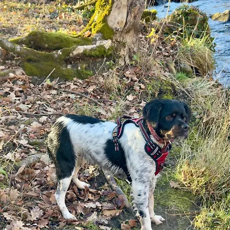 דירה Tala אקס-לה-טרמה