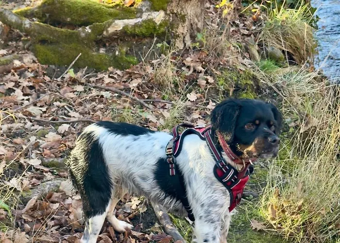 Apartamento Tala Ax-les-Thermes